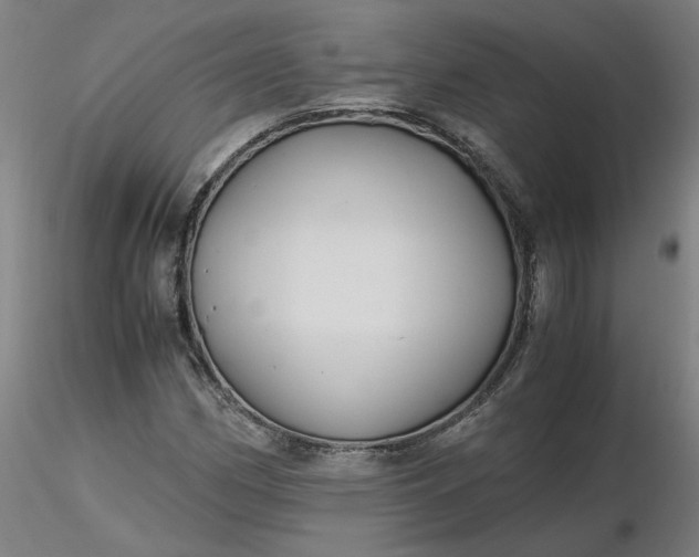 X0000116481162200912231124