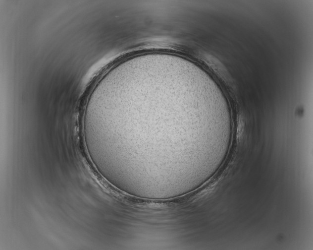 X0000116481164200912231124