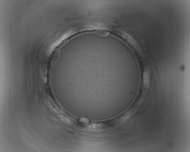 X0000116481165200912231124