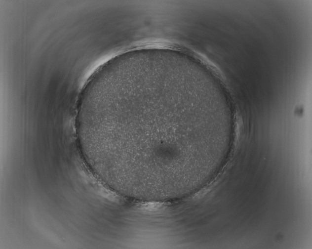 X0000116481166200912231124