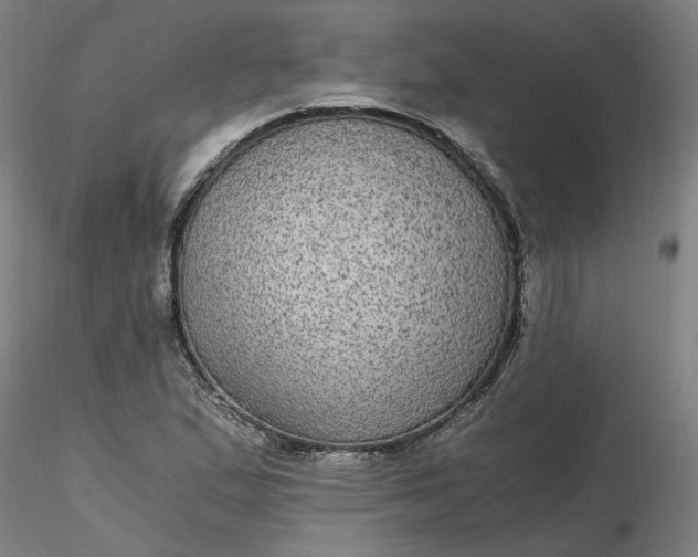 X0000116481167200912231124