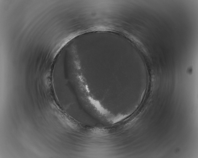 X0000116481170200912231124