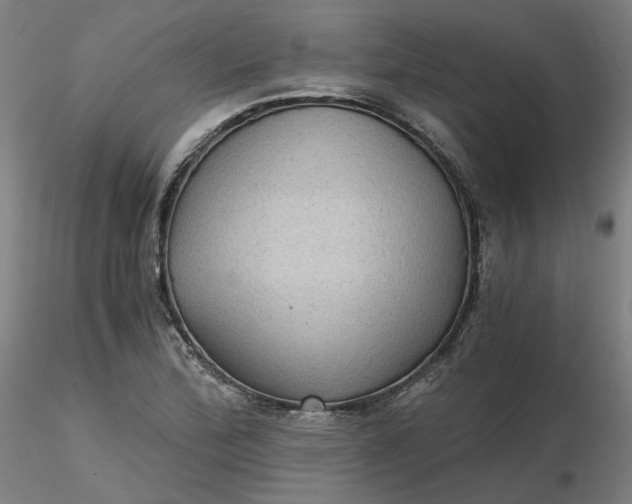 X0000116481172200912231124