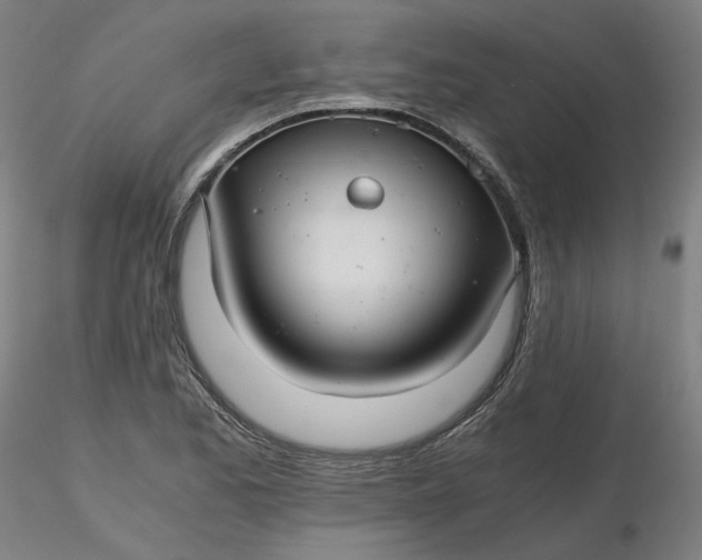 X0000116481173200912231124