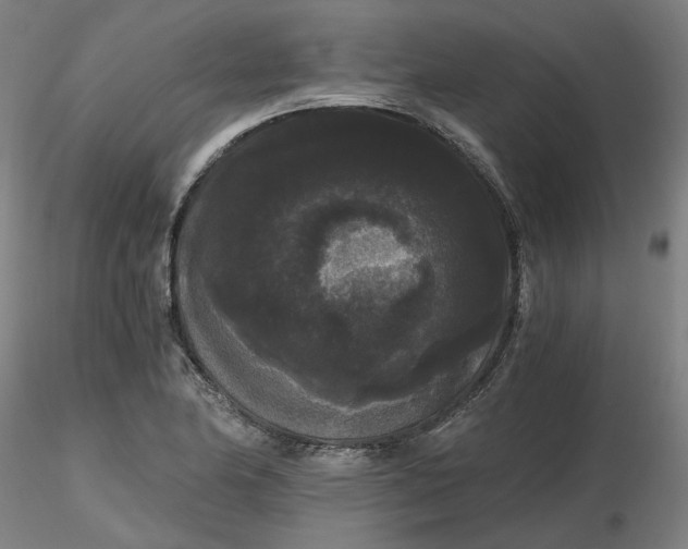 X0000116481174200912231124