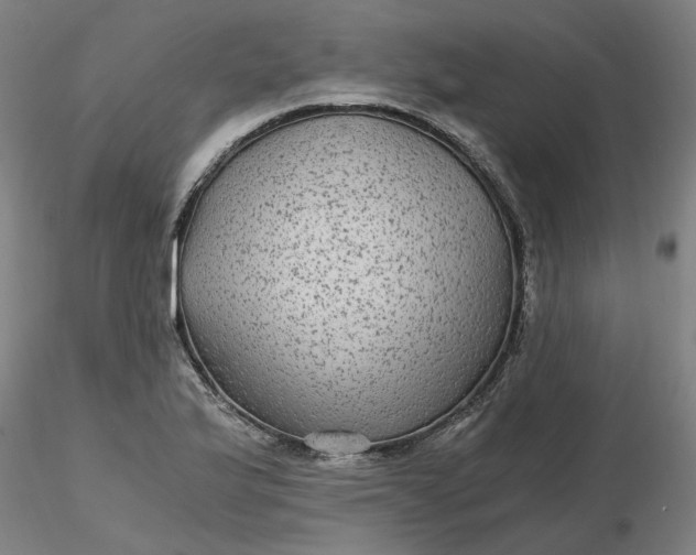 X0000116481175200912231124