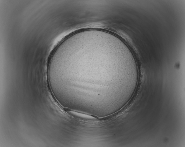 X0000116481176200912231124