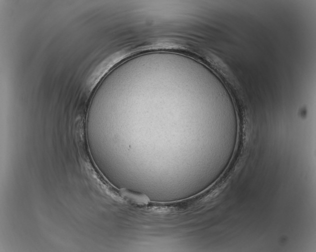 X0000116481177200912231124