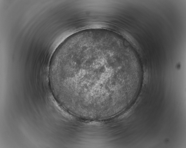 X0000116481178200912231124