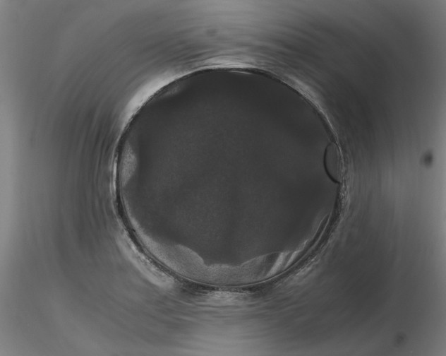 X0000116481179200912231124