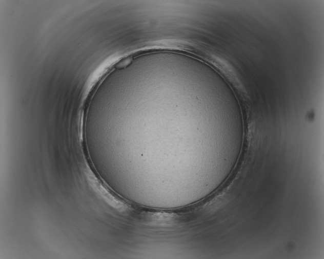 X0000116481180200912231124