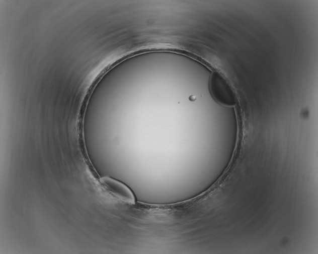 X0000116481181200912231124