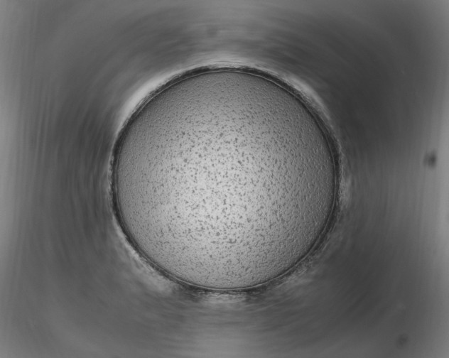 X0000116481183200912231124