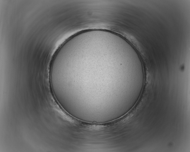 X0000116481184200912231124