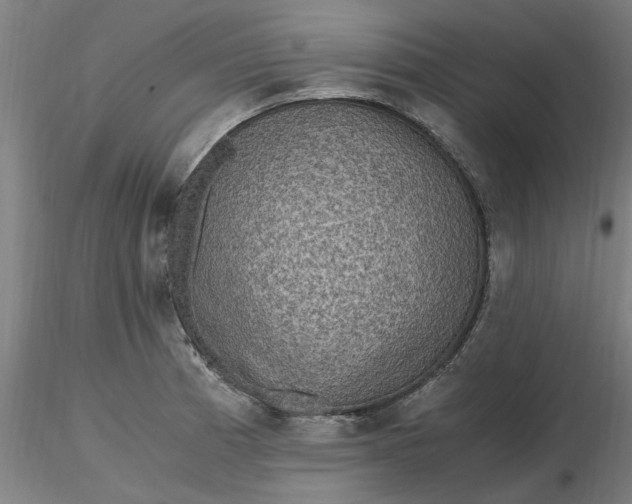 X0000116481185200912231124