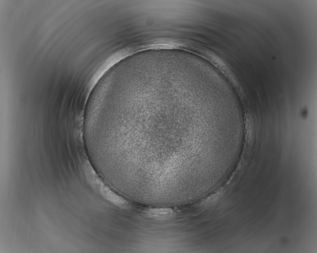 X0000116481186200912231124