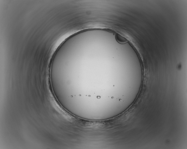 X0000116481187200912231124