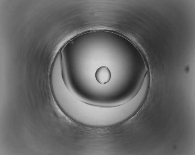 X0000116481189200912231124