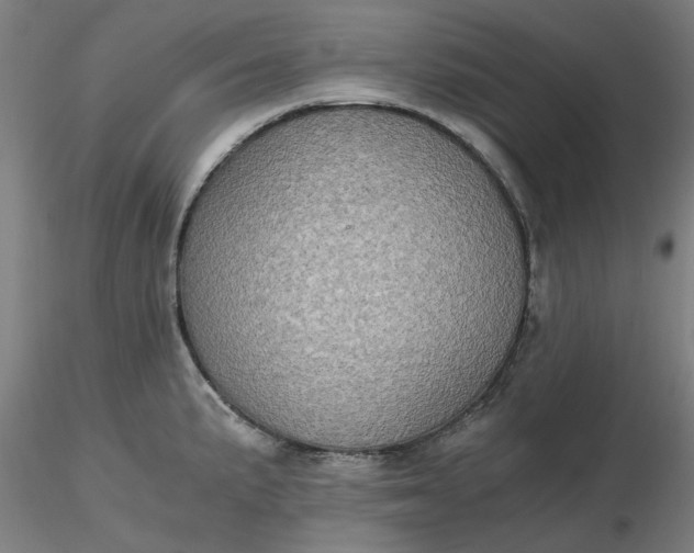 X0000116481191200912231124