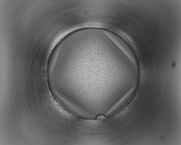 X0000116481192200912231124