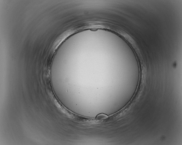 X0000116481193200912231124