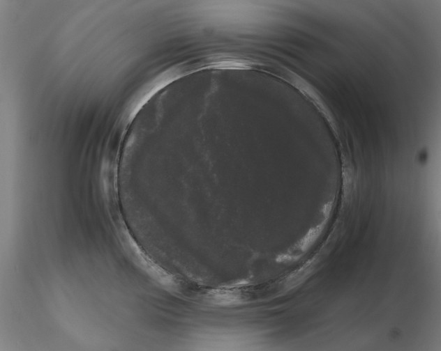 X0000116481194200912231124