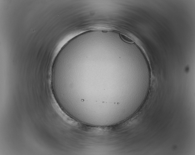 X0000116481195200912231124