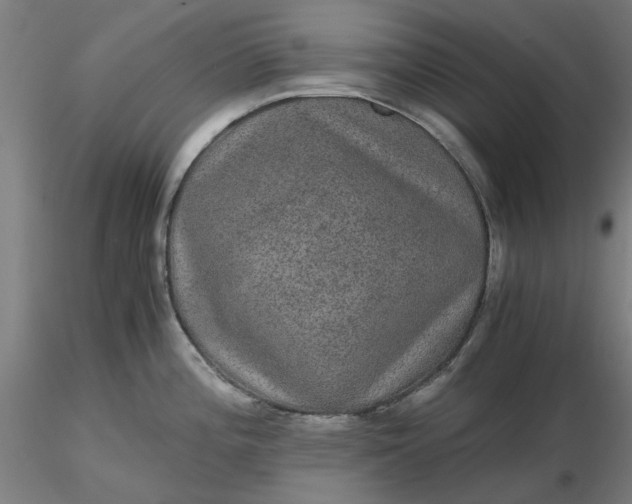 X0000116481196200912231124