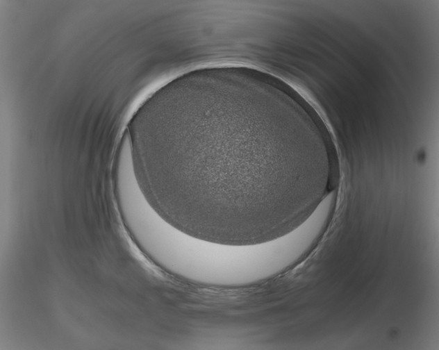 X0000116481197200912231124