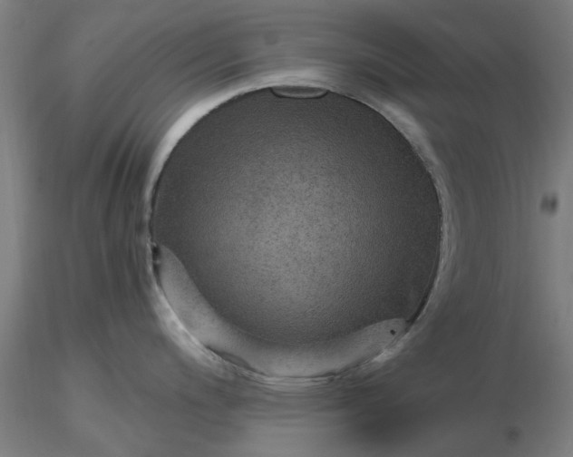 X0000116481200200912231124