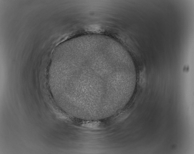 X0000116481201200912231123