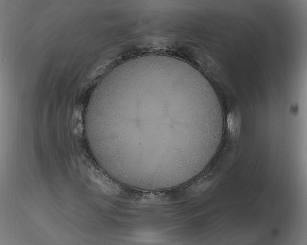 X0000116481203200912231123