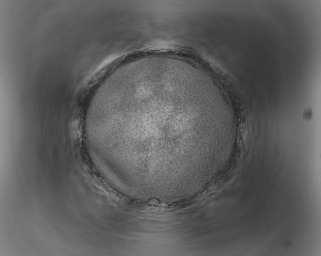 X0000116481206200912231123