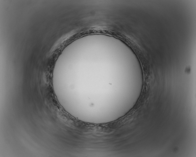 X0000116481207200912231123