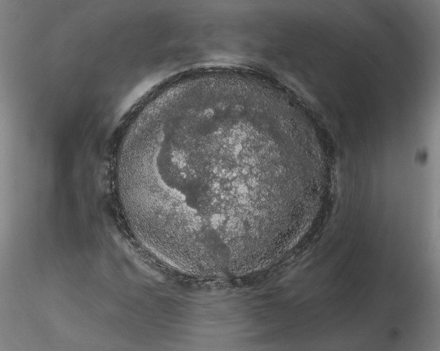 X0000116481208200912231123