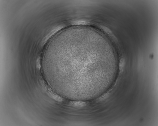 X0000116481209200912231123