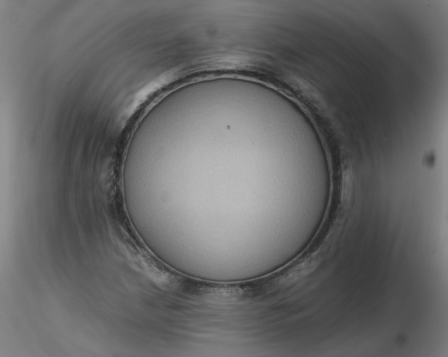 X0000116481210200912231123