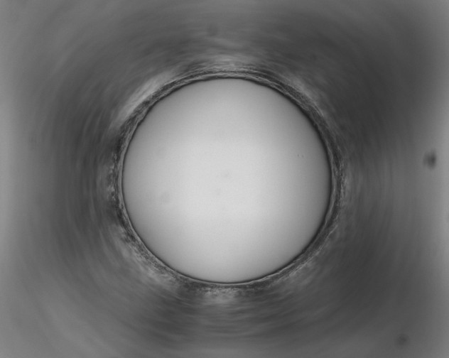 X0000116481211200912231123