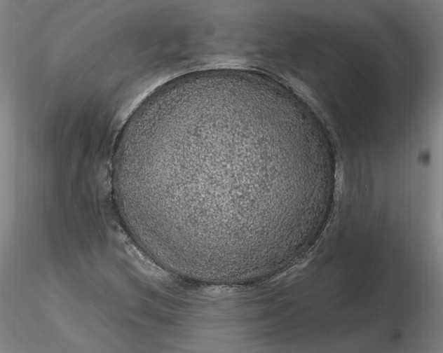 X0000116481212200912231123