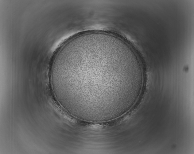 X0000116481214200912231123