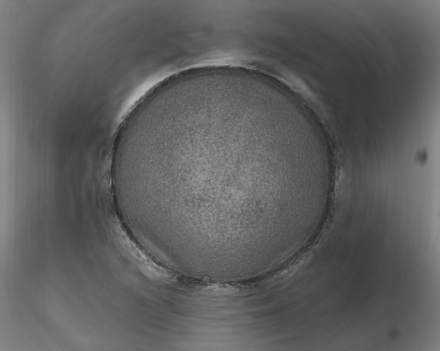 X0000116481216200912231123