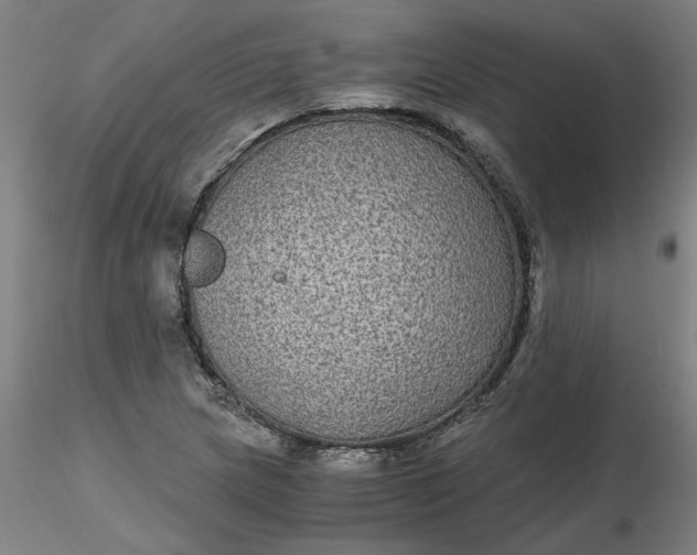 X0000116481217200912231123