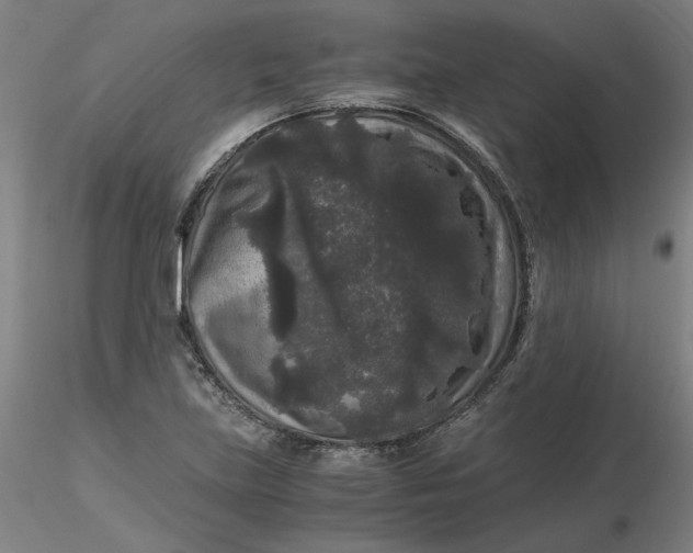 X0000116481219200912231123