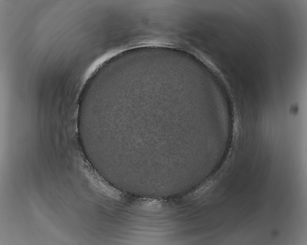 X0000116481222200912231123