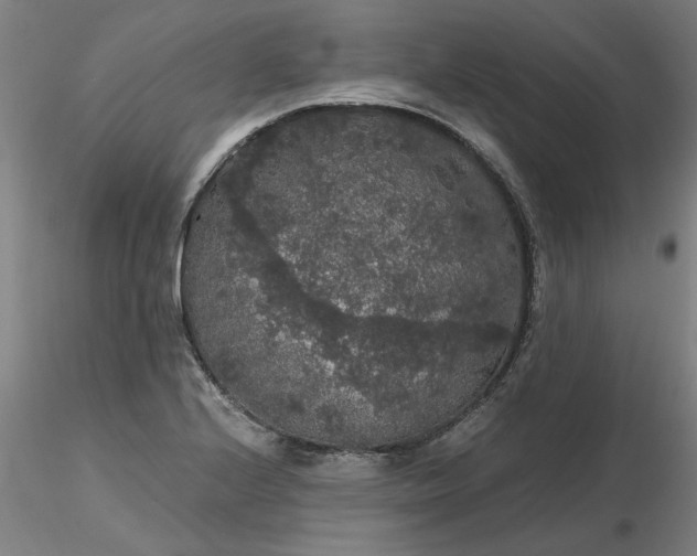 X0000116481224200912231123