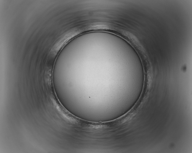 X0000116481225200912231123