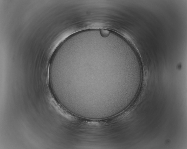 X0000116481227200912231123