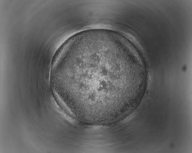 X0000116481228200912231124