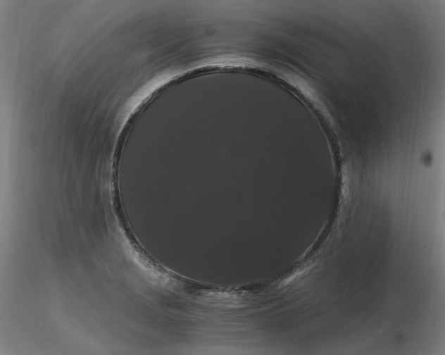 X0000116481229200912231124