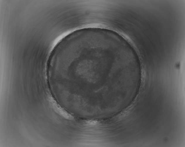 X0000116481230200912231124